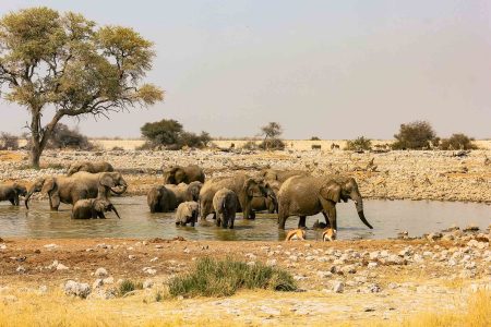 10 nights – Classic Namibia Self Drive Safari